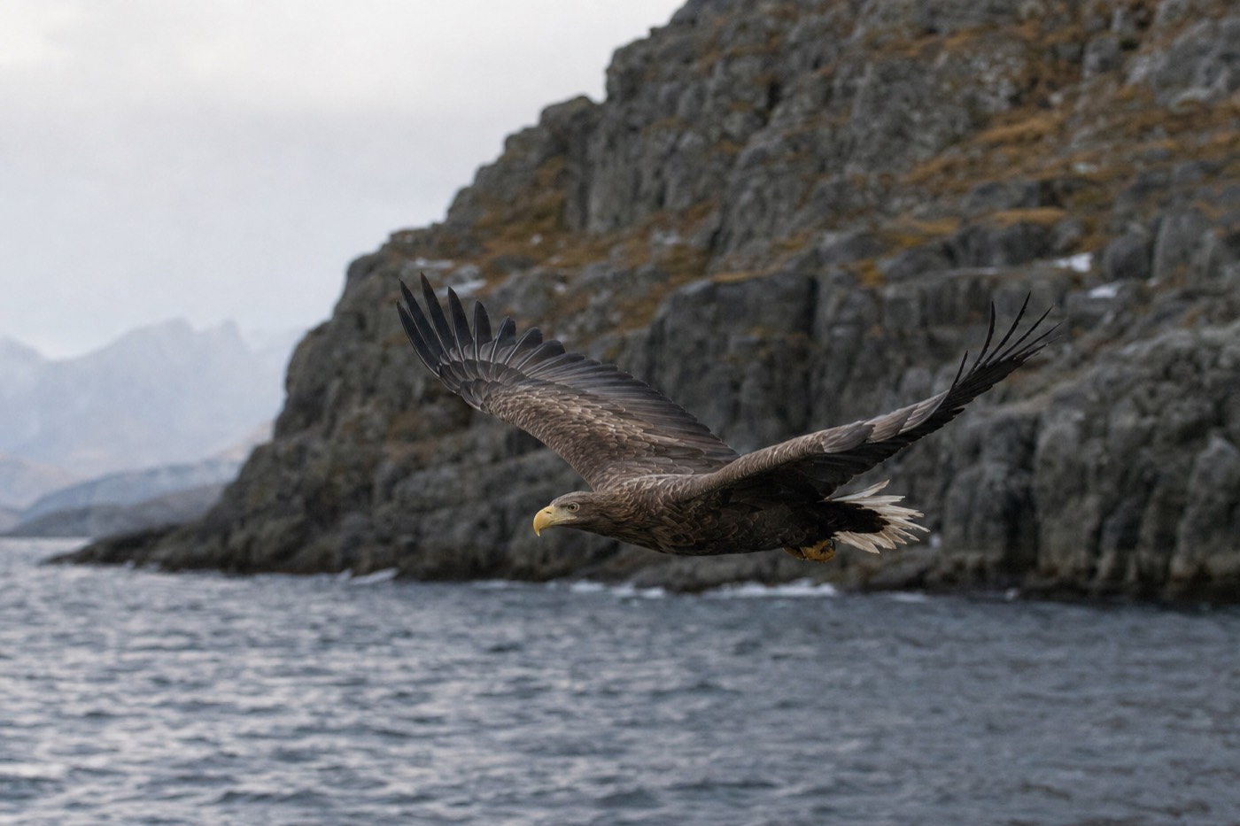 The Lofoten Islands