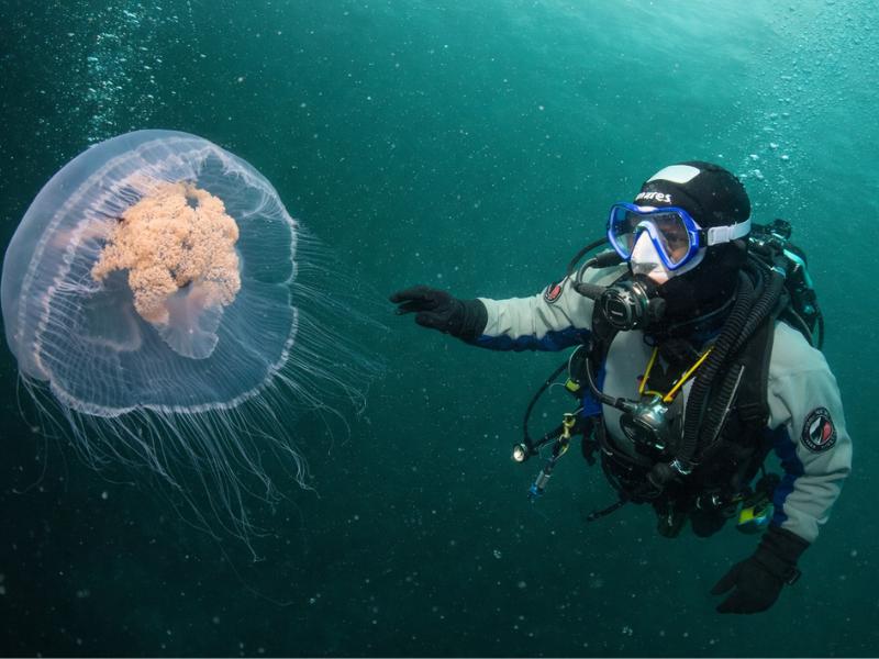 Lofoten Beginner Scuba Experience – First Time Underwater