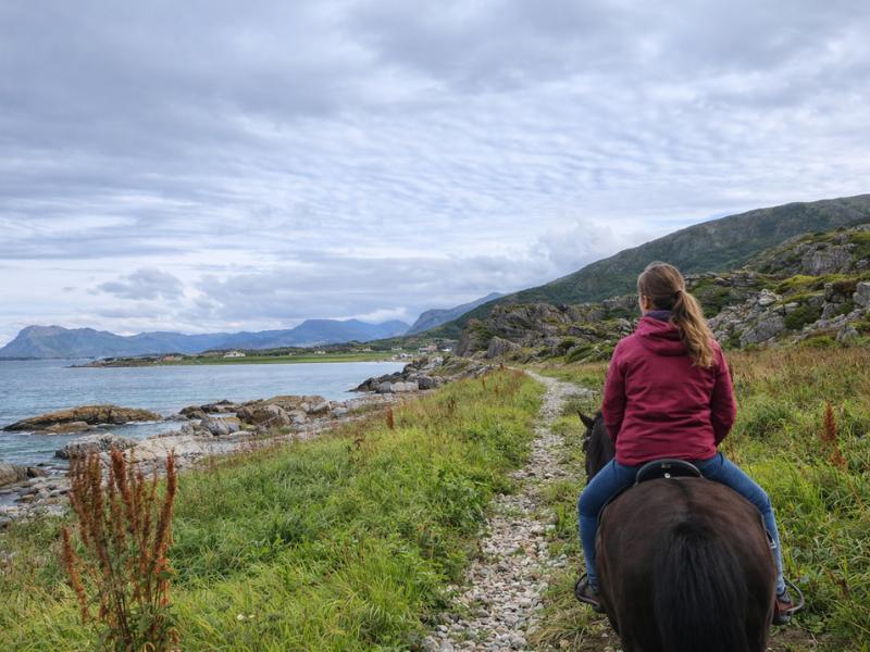 Lofoten Guided Horseback Adventure: Hov & Hovsund Trails