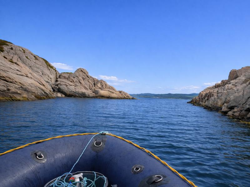 Lofoten Unique Scuba Diving Experience – Cold Water Magic